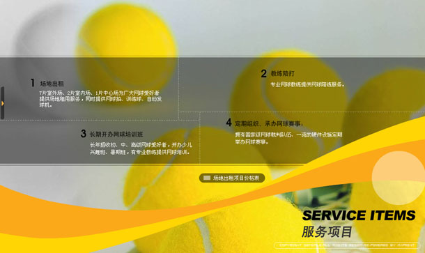 深圳市牧星策劃設(shè)計有限公司金地網(wǎng)球中心項目網(wǎng)站 服務(wù)項目