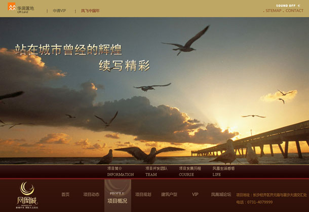 深圳市牧星策劃設(shè)計有限公司鳳凰城項目網(wǎng)站 項目概況