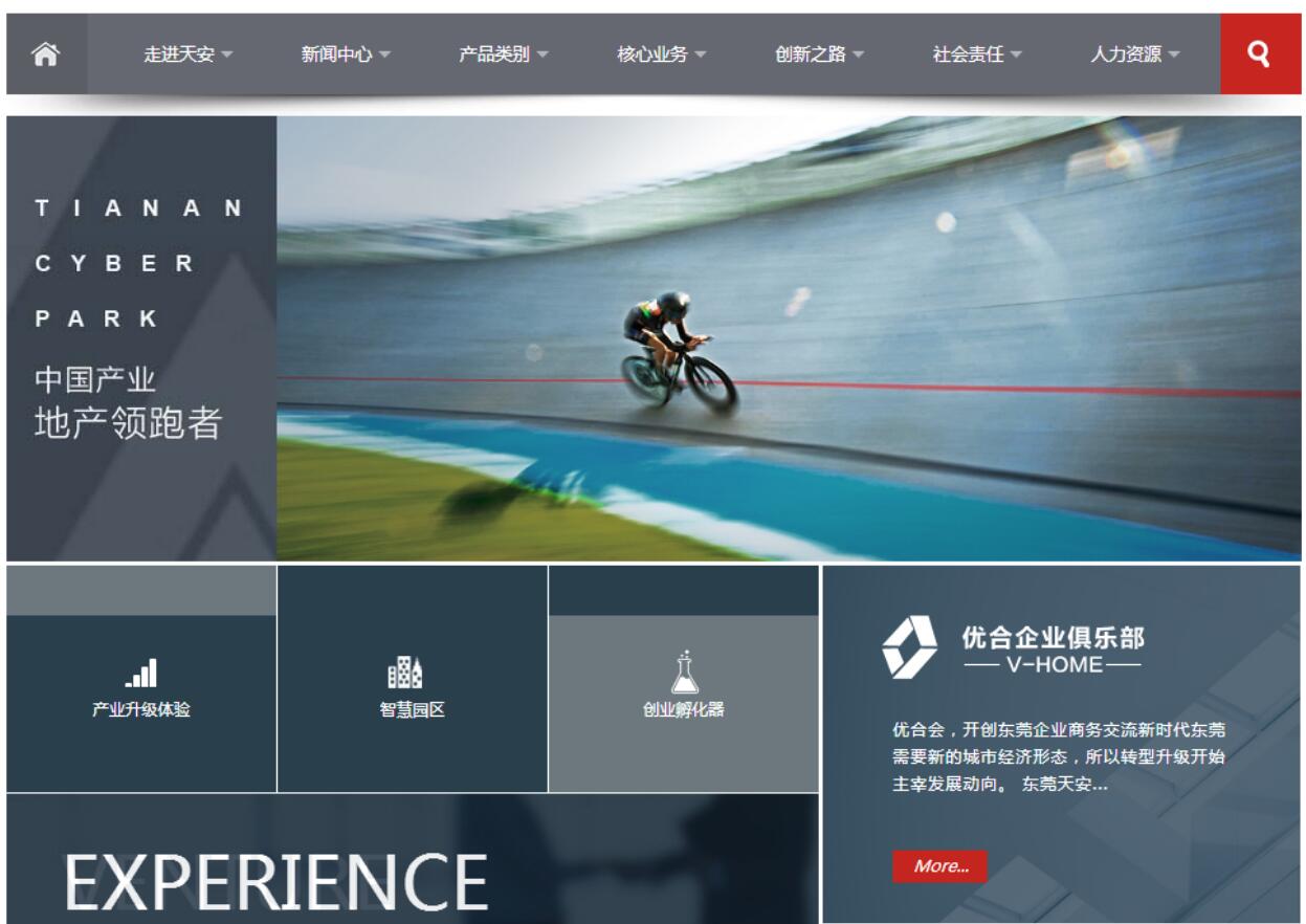 網(wǎng)站建設(shè)